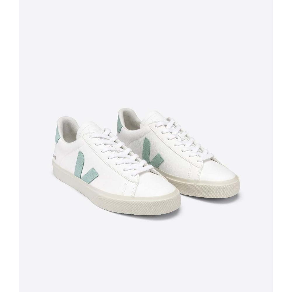 Men's Veja CAMPO CHROMEFREE Low Tops Sneakers White/Green | SG 196NWY